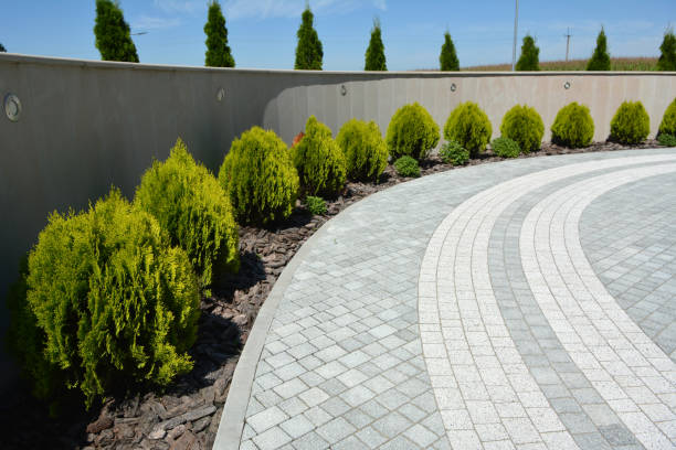 Best Driveway Paver Repairs and Restoration in Beardstown, IL